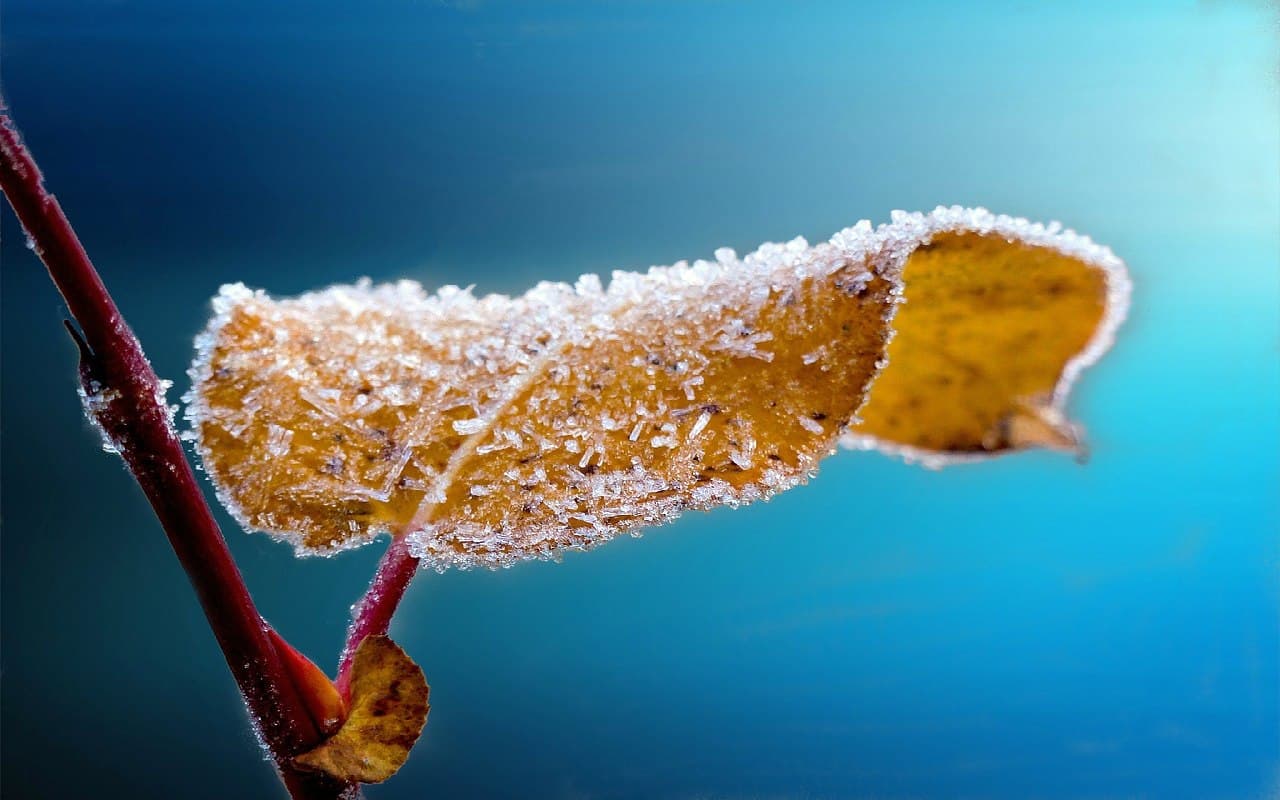 Eiskalte Nächte