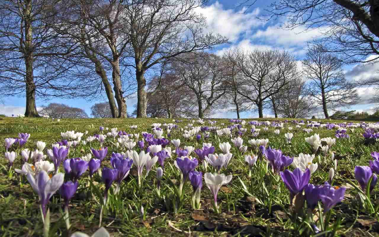 Traumhaft schöner Vorfrühling