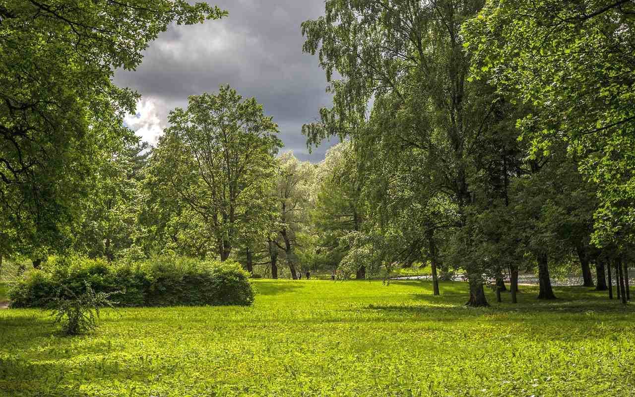 Bis Sonntag hohe Unwettergefahr