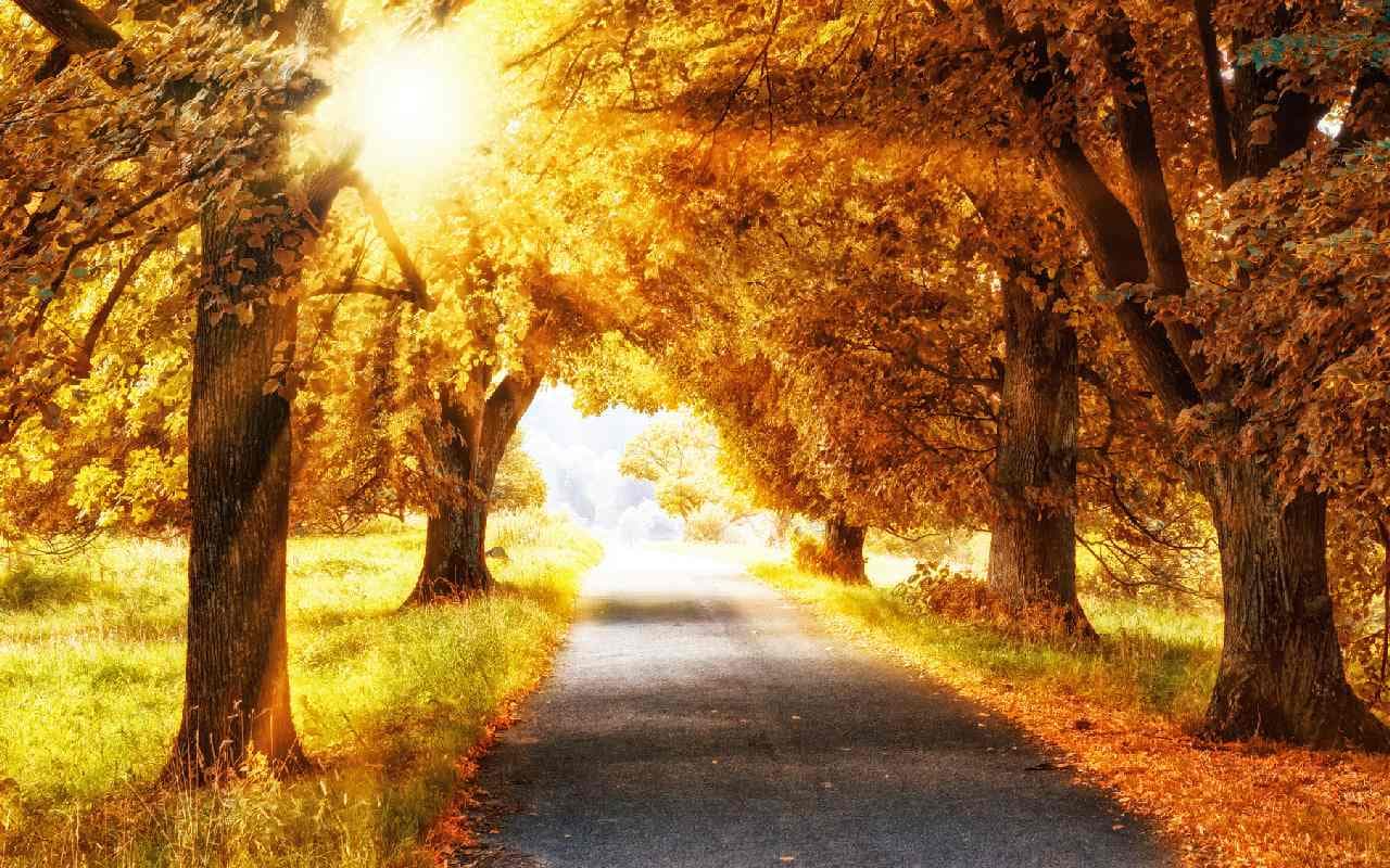 Rekordwärme – Goldener Oktober lässt Temperaturen in die Höhe schnellen