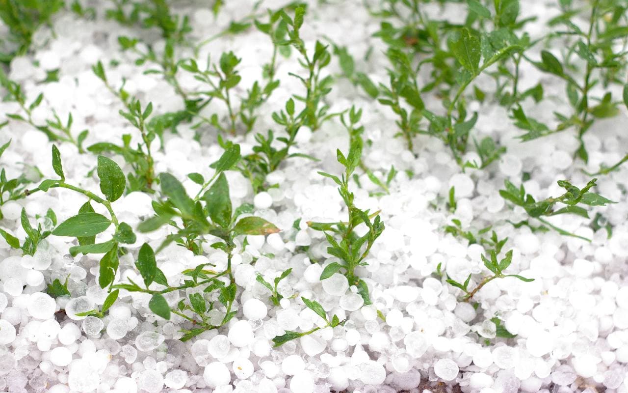 Kühles Aprilwetter mit Regen- und Schneeschauern