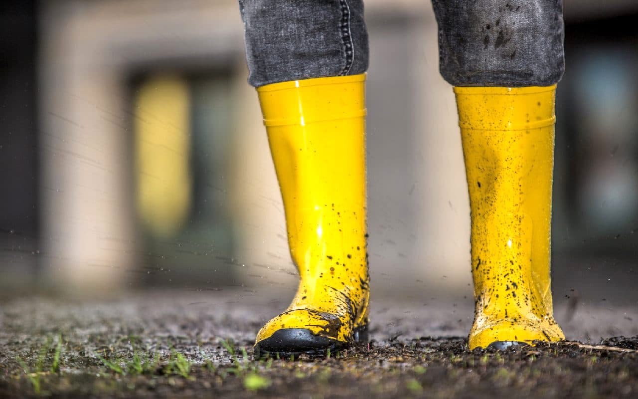 Mildes Regenwetter verdrängt Schnee und Frost