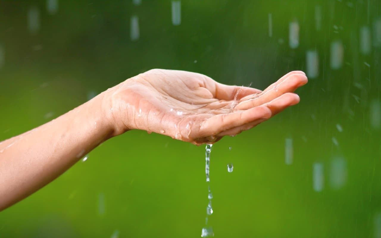 Neuer Regen im Anmarsch