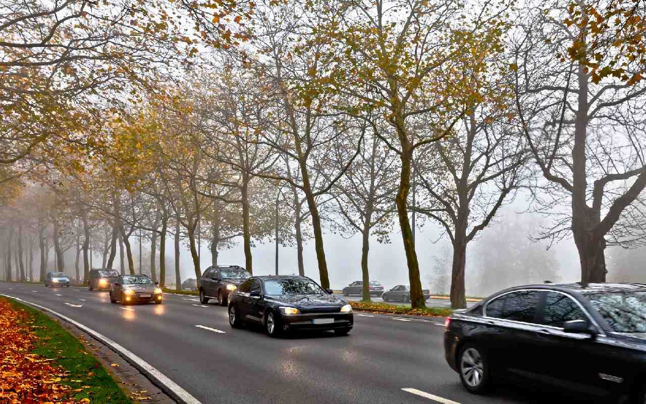 Im Westen neuer Regen und stark böiger Südwind