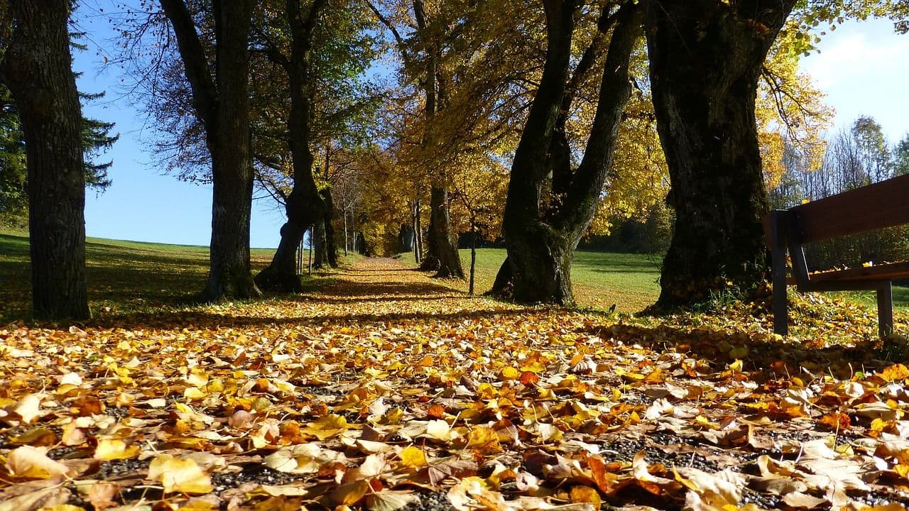 Goldener Oktober geht in die Verlängerung