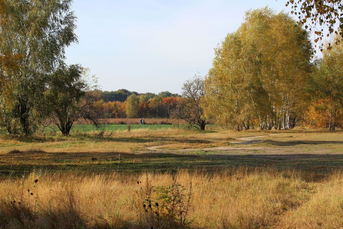Der Altweibersommer ist vorbei, der Herbst beginnt