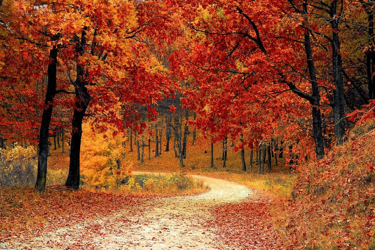 Wie lange dauert der Oktobersommer an?