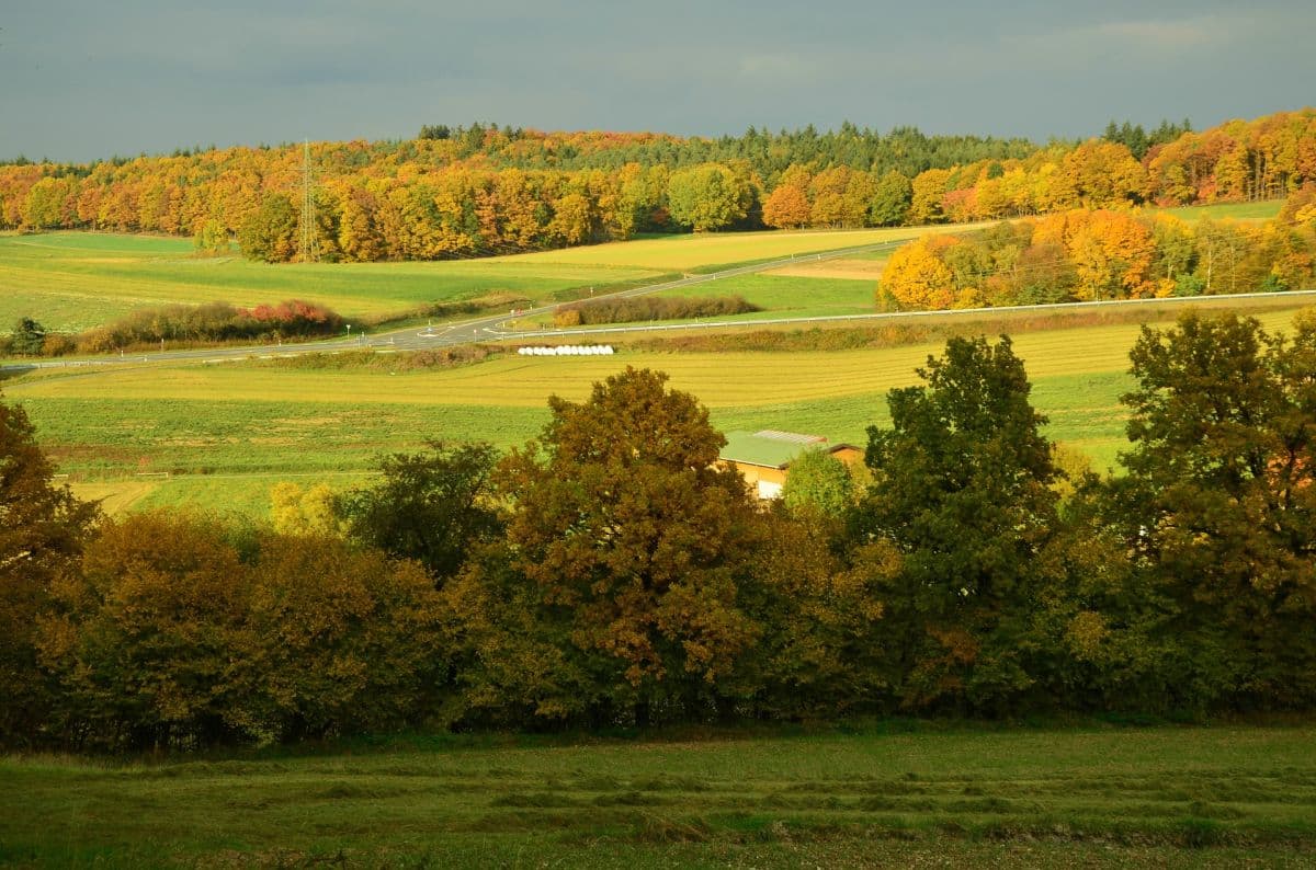 Kühler Nordwesten, milder Südosten
