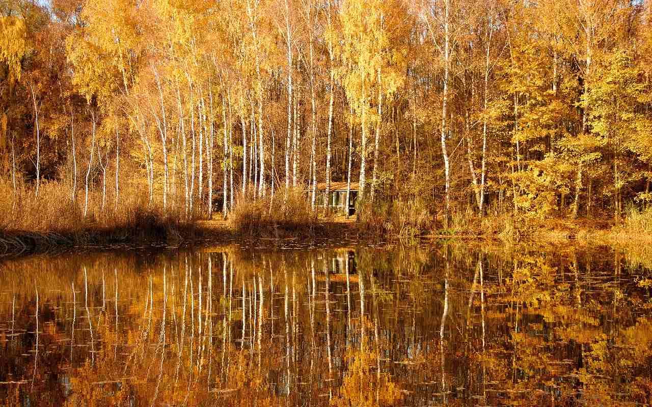 Ein Hauch von goldenem Oktober