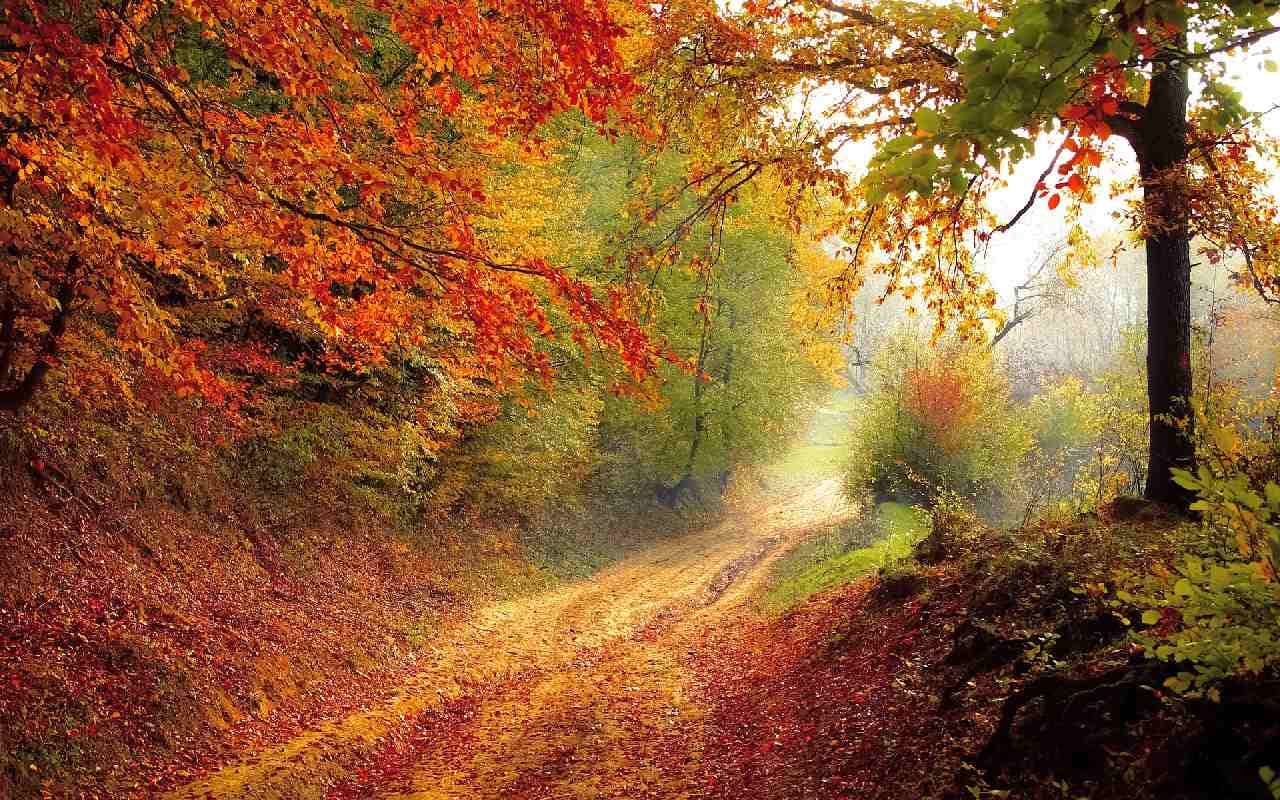 Goldener Oktober im Süden