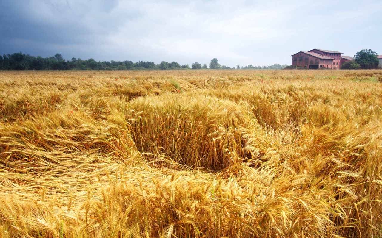 Sommerwetter mit örtlichen Gewittern