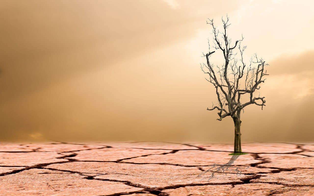 WMO-Jahresbericht mit trüben Aussichten für 2017