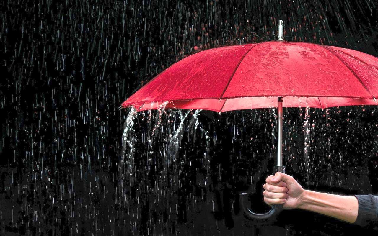 Wechselhaft mit regional viel Regen
