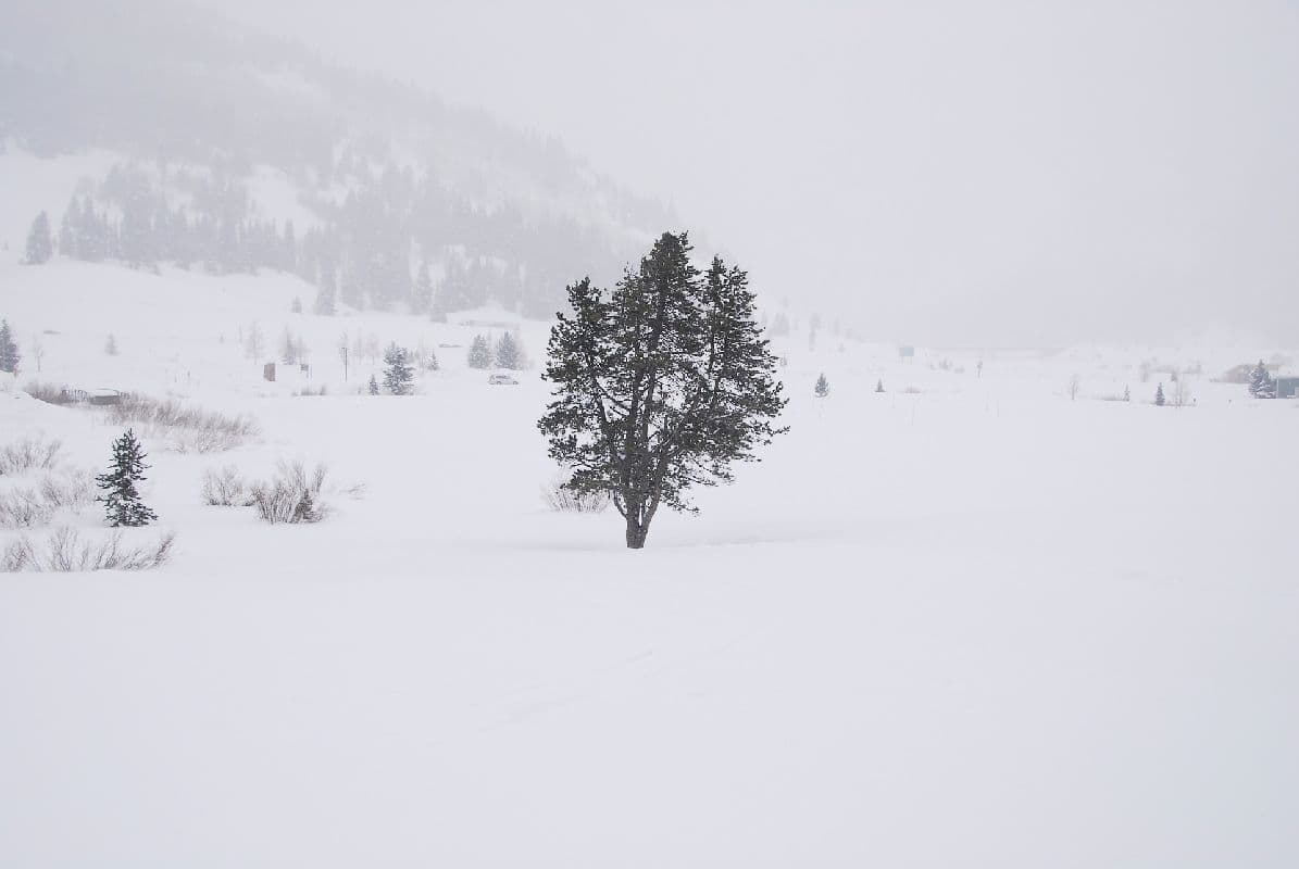Extreme Schneefälle in den Alpen