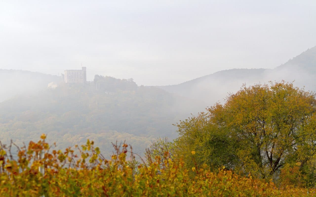 Typisch November, im äußersten Westen etwas Regen