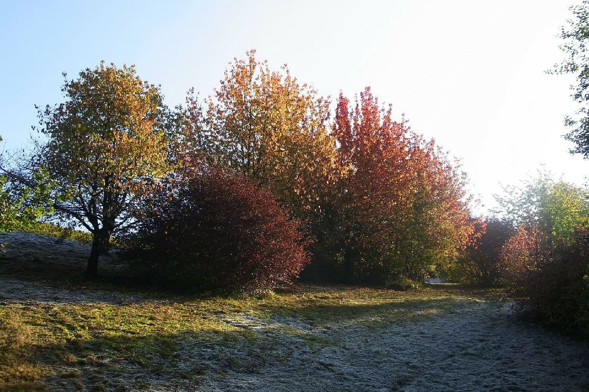 Kühl mit Nachtfrostgefahr, an den Alpen Regen