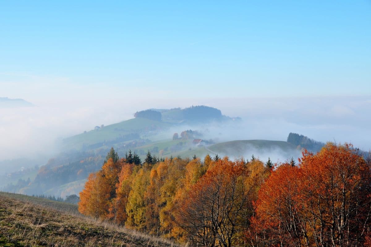 Nebel-Wolken-Sonne-Mix