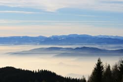 UV, Ozon, Pollen war gestern – Nebel ist morgen