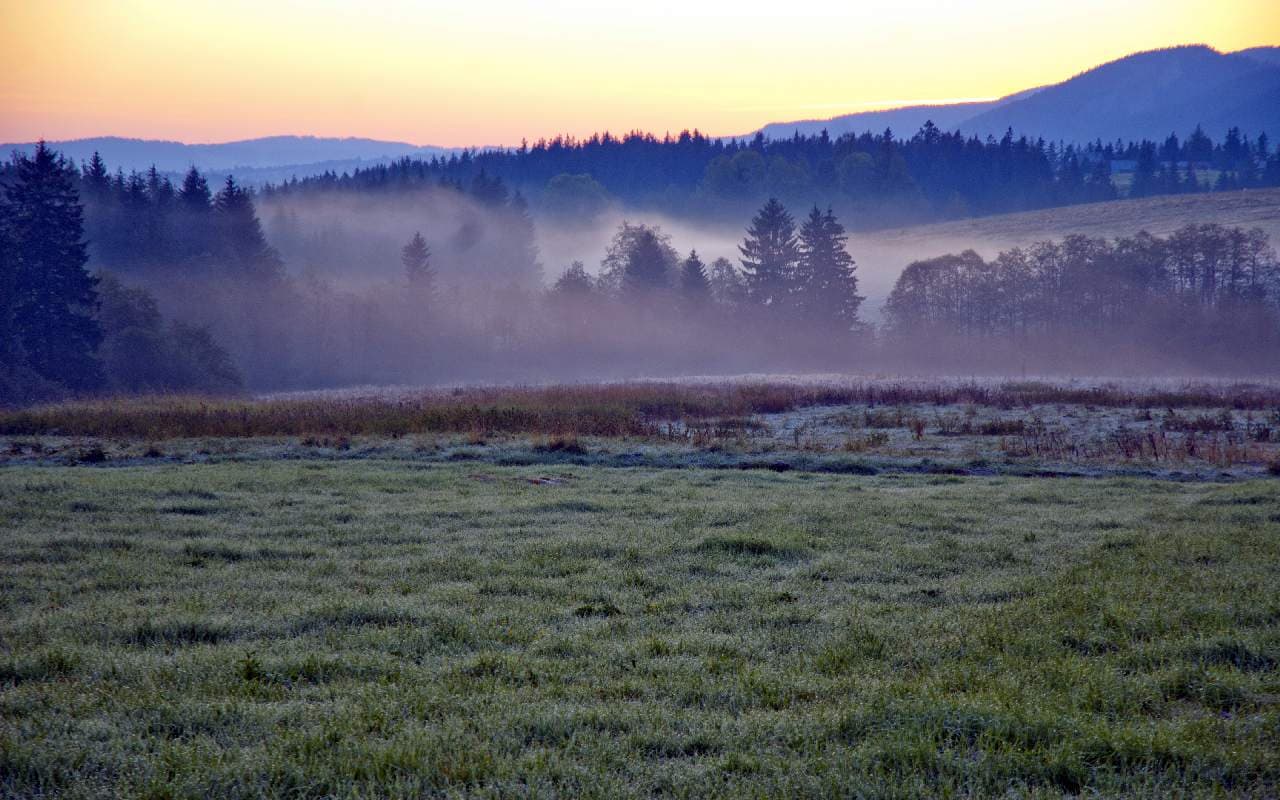 Goldenes Oktoberwetter mit örtlichem Nebel
