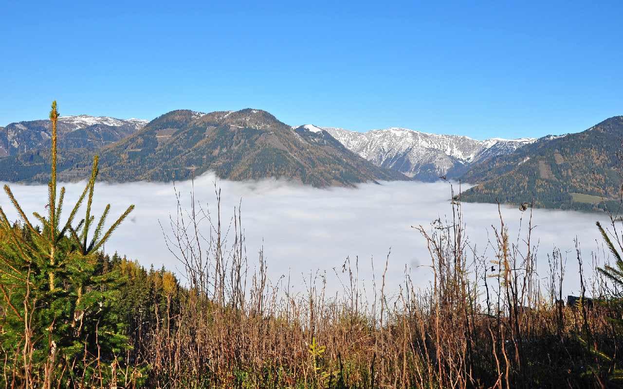 Milder Nordwesten, kalte Nebeltäler