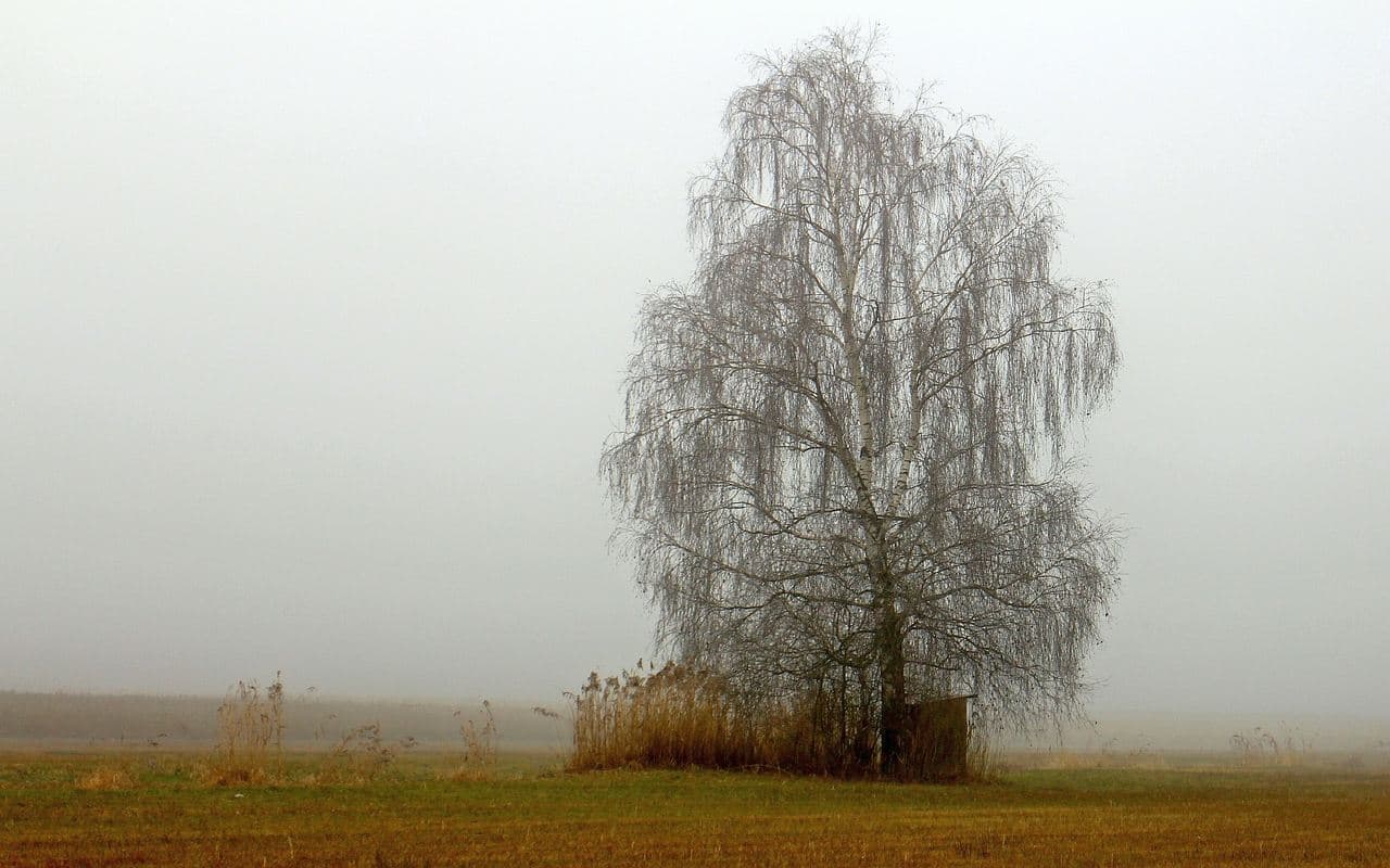 Im Westen nichts Neues – ruhige Wetterlage bis Ende des Jahres