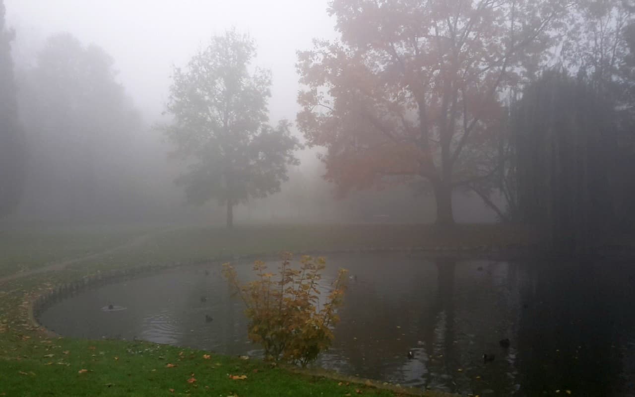 Mix aus Nebel, Wolken und Sonne