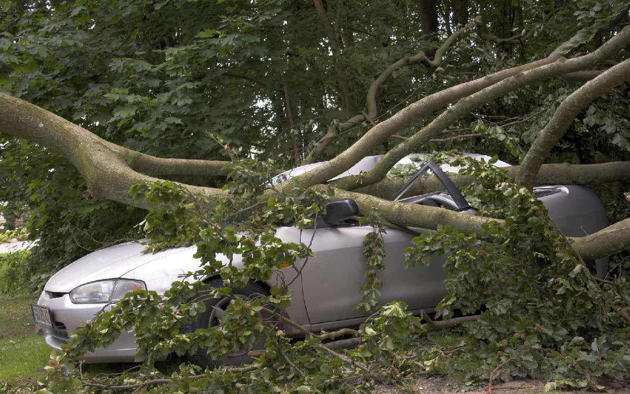 Unwettergefahr ab Mittwochnachmittag