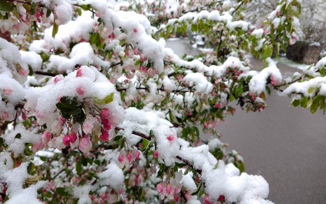 Dem Frühling geht bald die Puste aus!