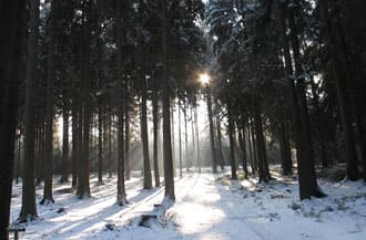 Kurzzeitiges Schneevergnügen