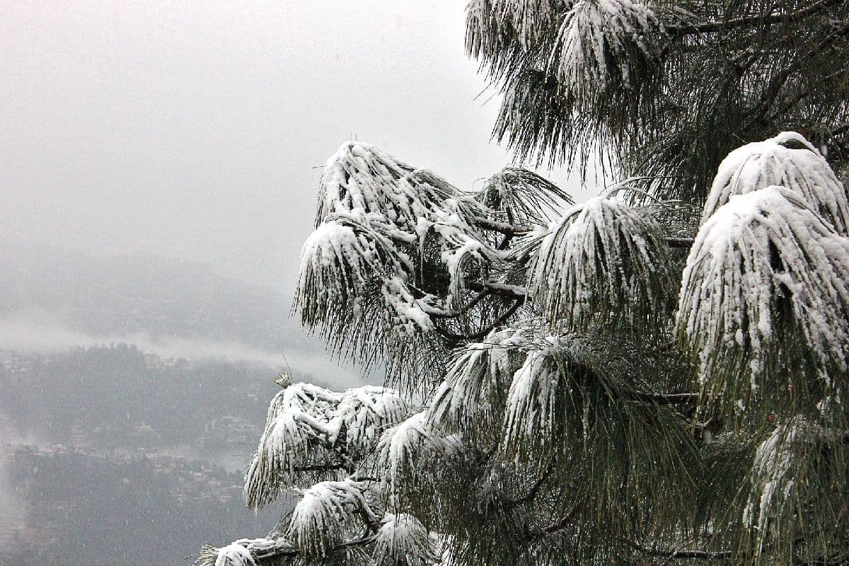 Schnee im Südosten, Regen im Norden