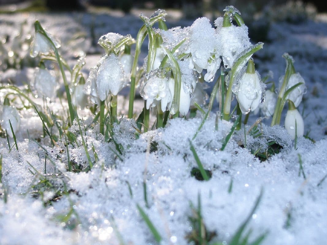Bleibt es bis Ostern kalt?