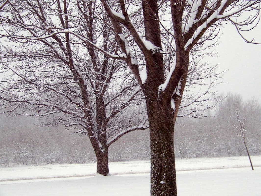 Schneefälle im Südosten gehen weiter