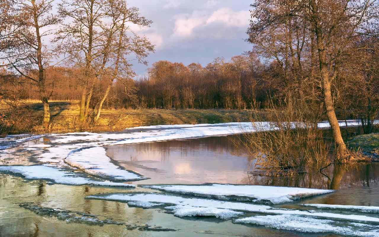 Rekord-Wärme im Dezember bringt bis zu 20 Grad!