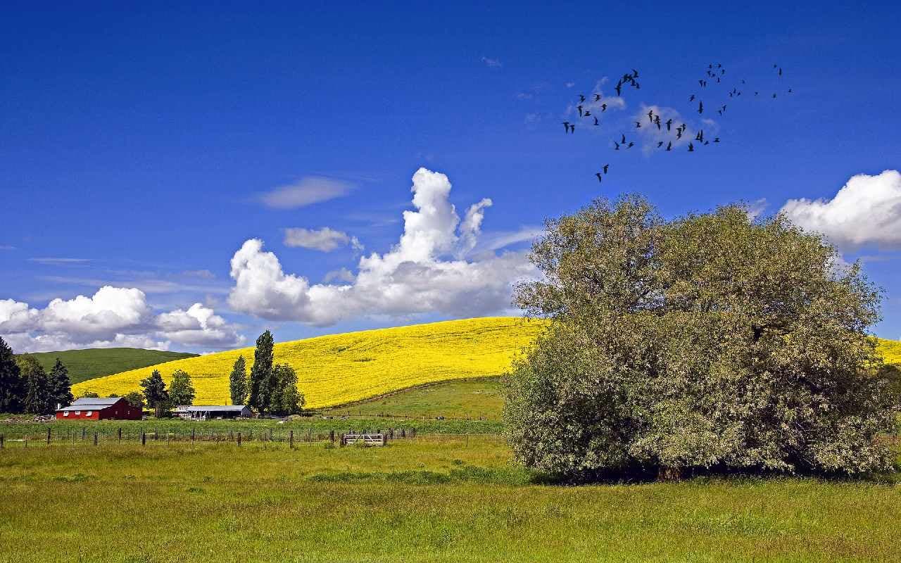 Mit Hoch Niklot auf Sommerkurs
