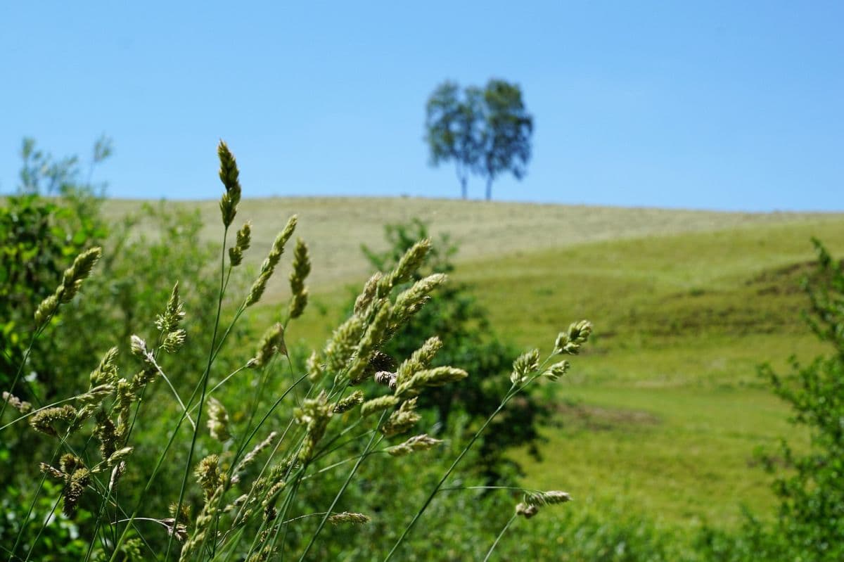Viel Sonnenschein und nochmals sehr warm