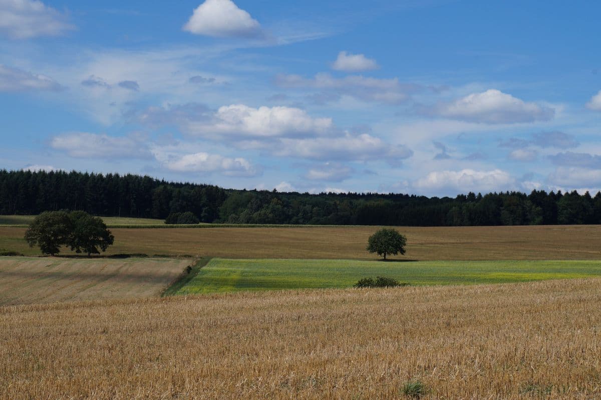 Oktobersommer zeigt Durchhaltevermögen