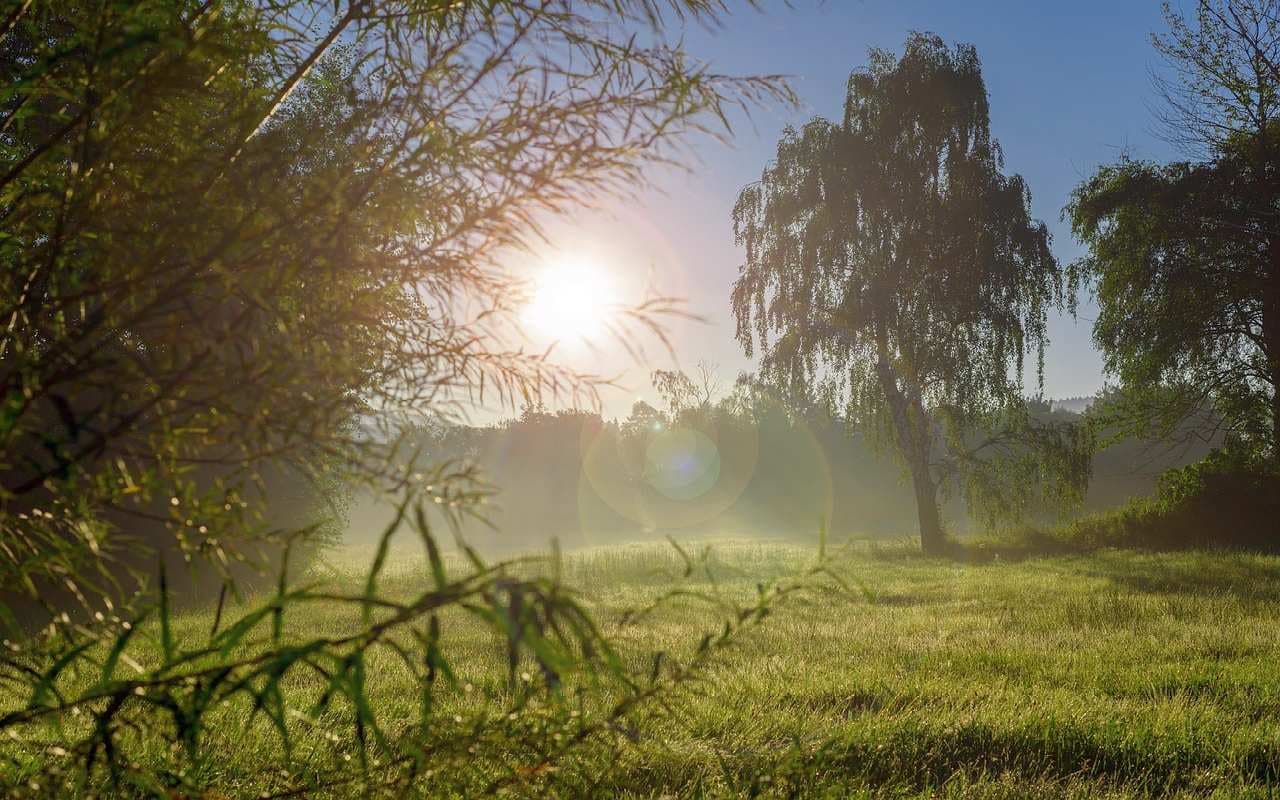 Spätsommer-Endspurt in zweiter Septemberwoche