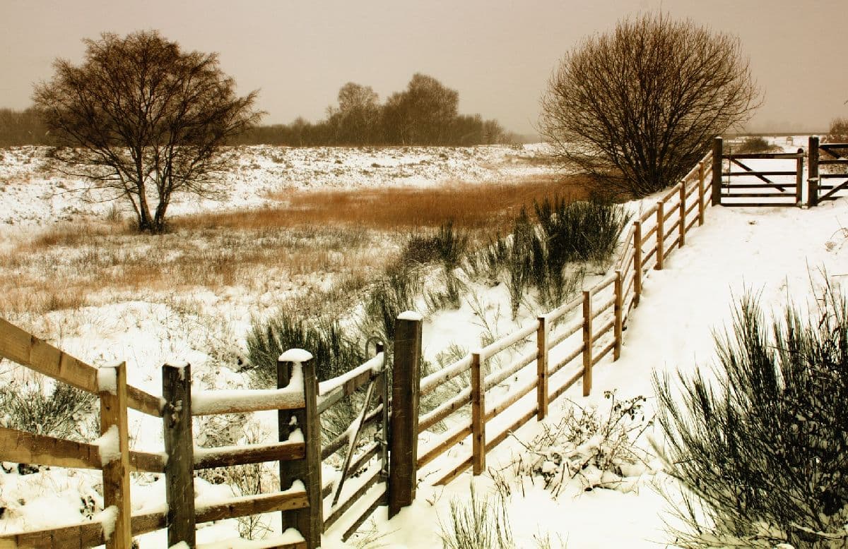Im Osten aufkommender Schnee mit Glätte
