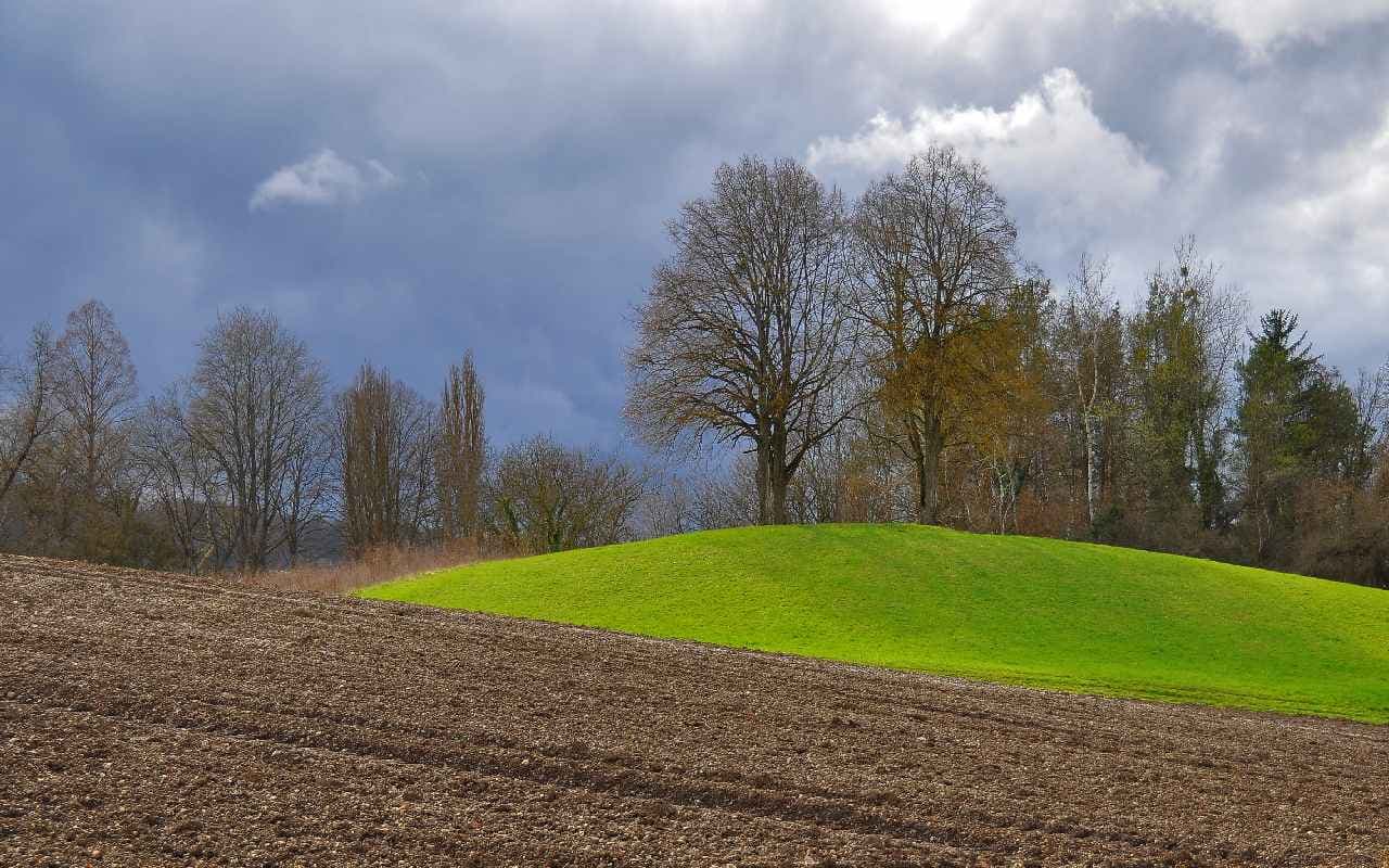 Weihnachten trüb, windig und zeitweise nass