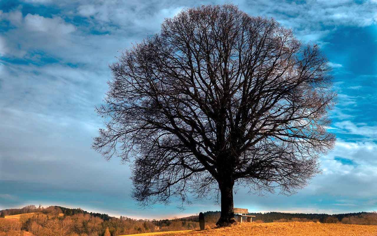 Trübes Wetter setzt sich fort