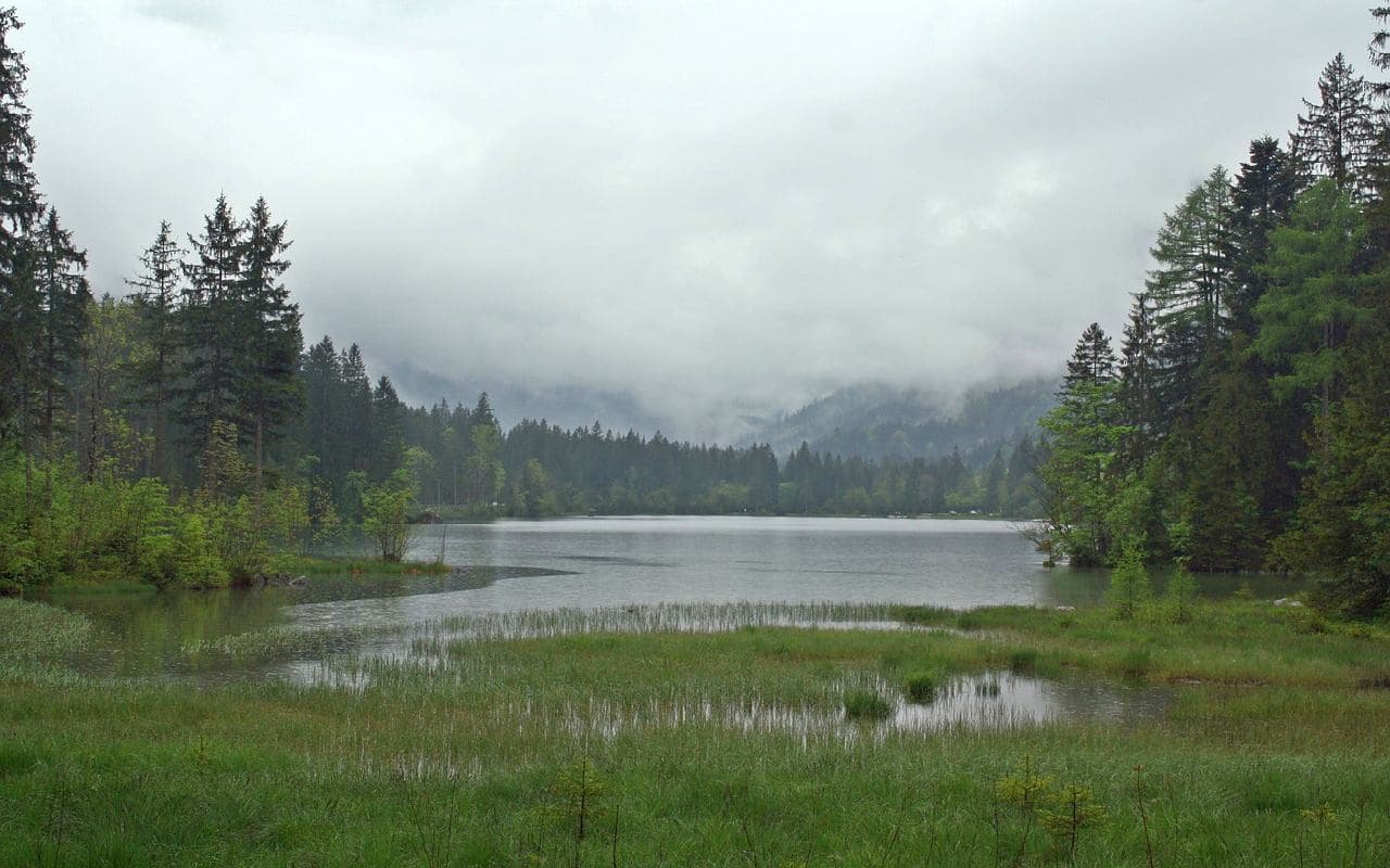 Grauer Tag mit etwas Regen