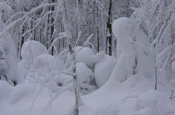 Lake effect snow – gibt es das auch bei uns?