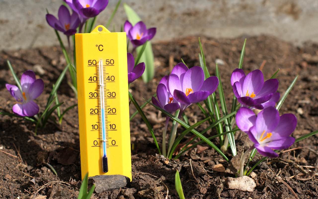 Hoch Dorit mit erstem Frühlingserwachen