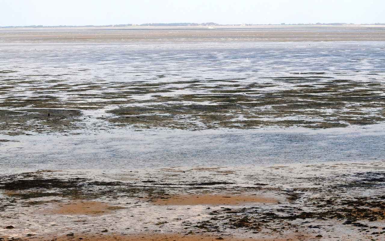 Rom steht vor Wasserknappheit