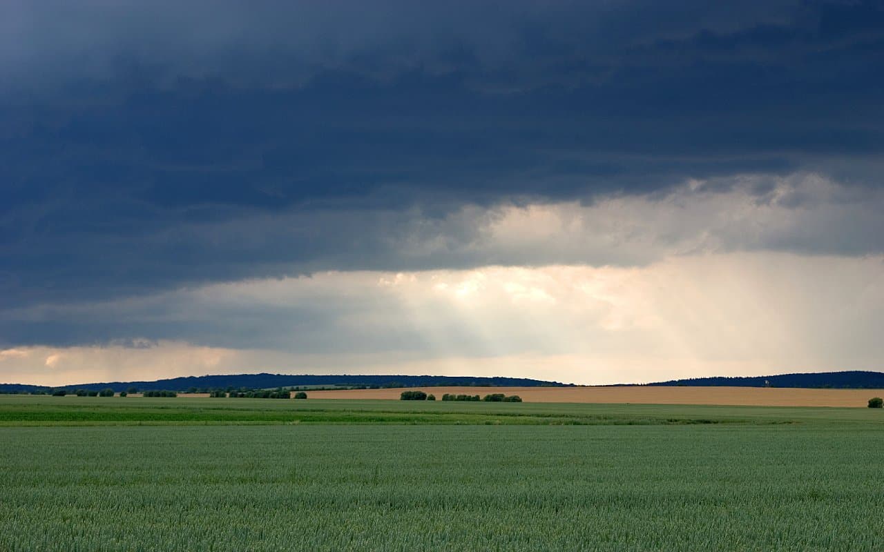 Im Westen regnerisch, im Osten sonnig