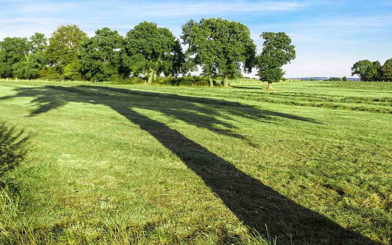 Hoch Perryman bringt das Spätsommerwetter zurück