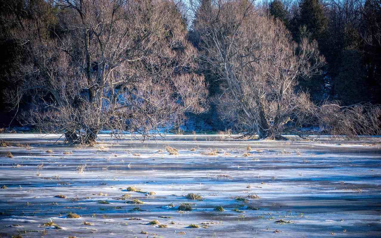 Temperaturen bis Freitag im Abwärtstrend