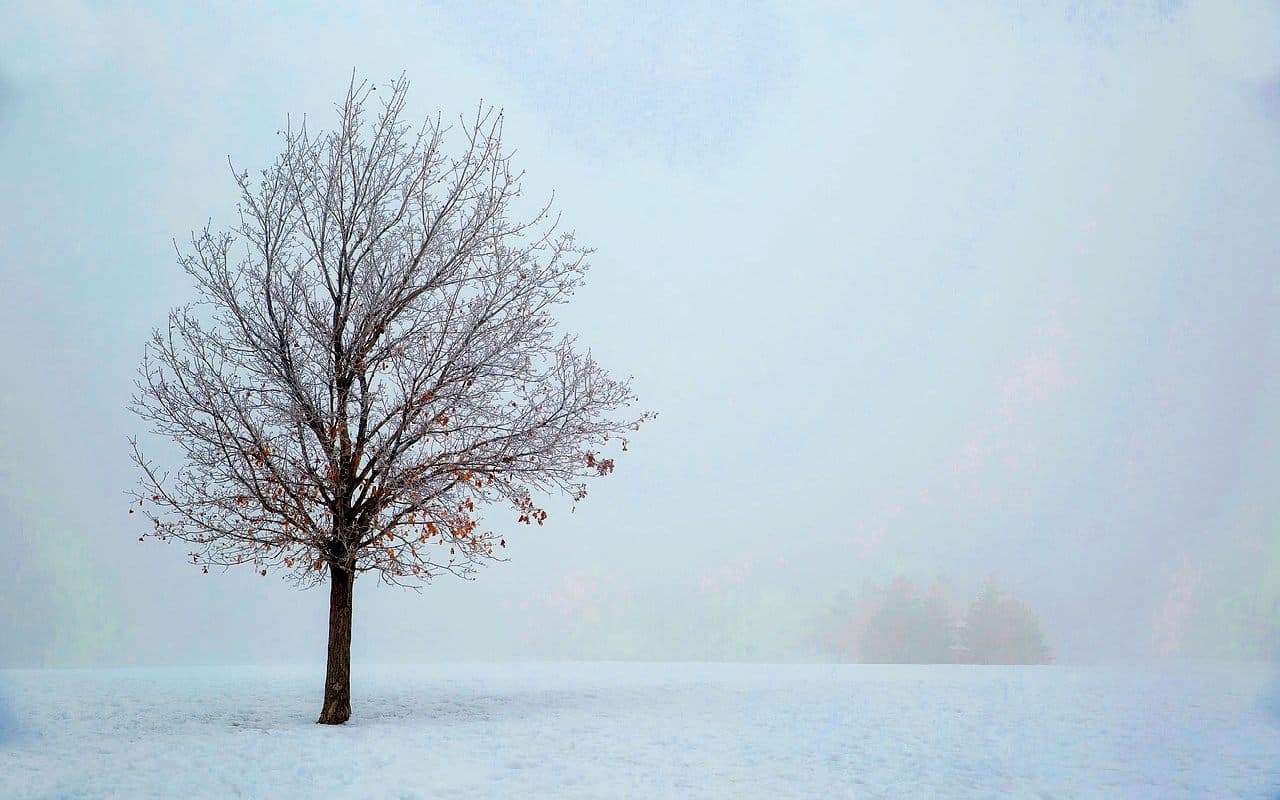 Starke Regen- und Schneefälle am Sonntag zwischen Deutschland, Alpen und Italien