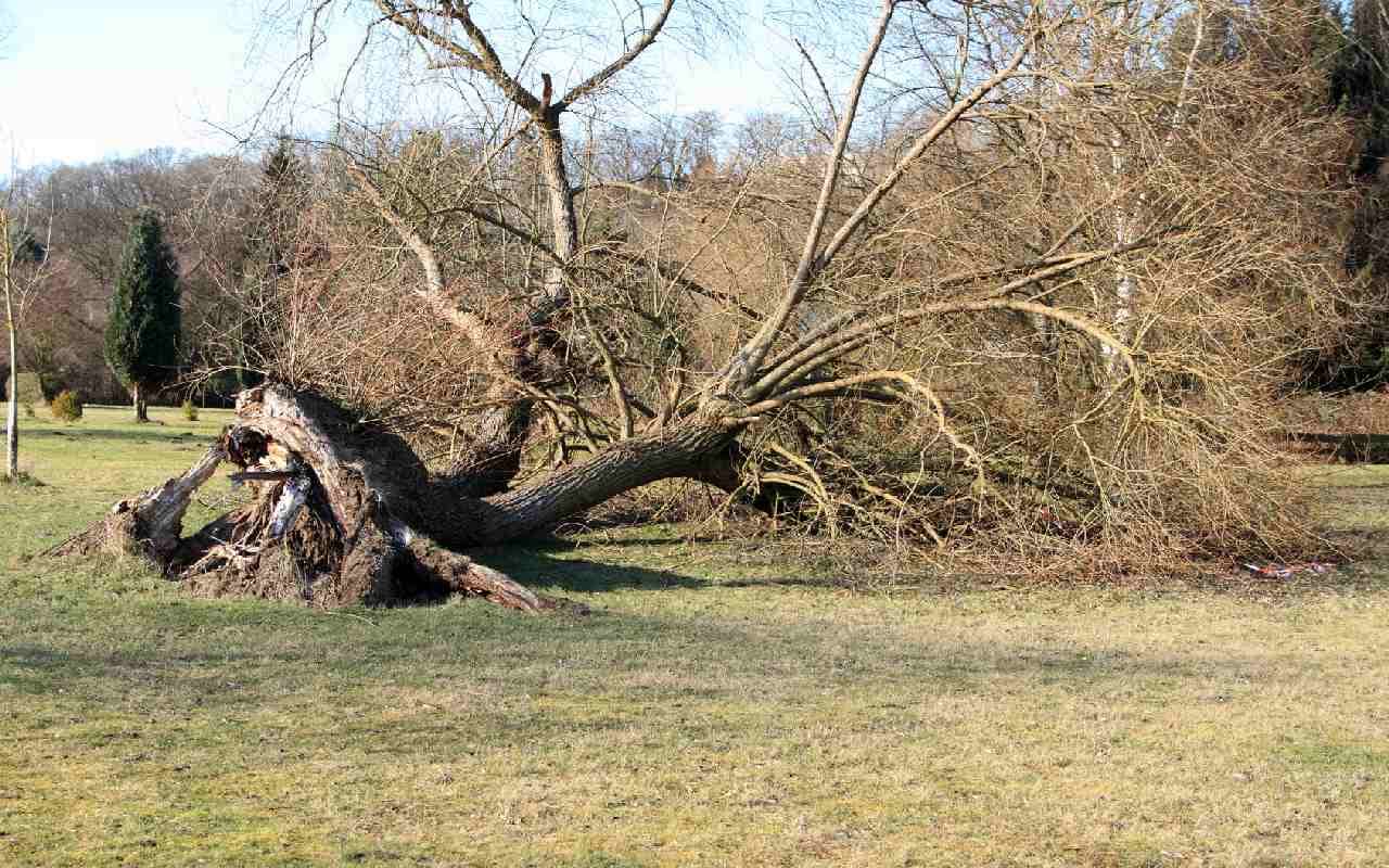 Sturm Eckhardt hinterlässt Schäden und Verletzte