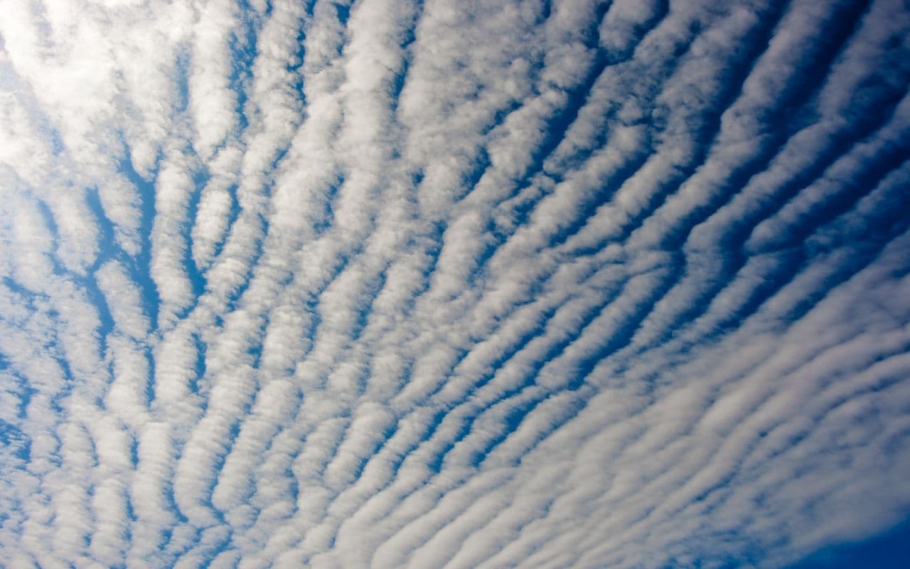 Wolken verstehen am Welttag der Meteorologie